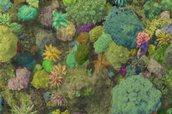 A biodiversity index created by Bioverse using machine learning to detect species and then spatially categorize them. Image courtesy of Bioverse.