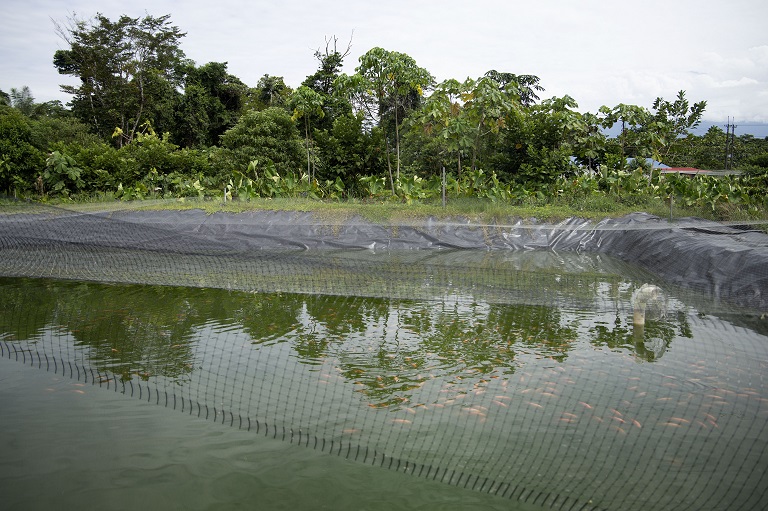 aquaculture