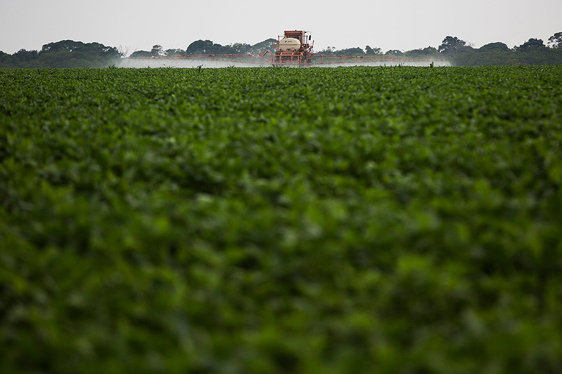 Machine spraying pesticides on soybean crops in Mato Grosso. 