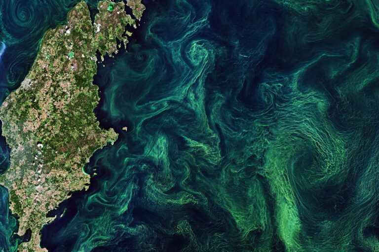 A phytoplankton bloom in the Baltic Sea captured by Copernicus Sentinel-2 mission.