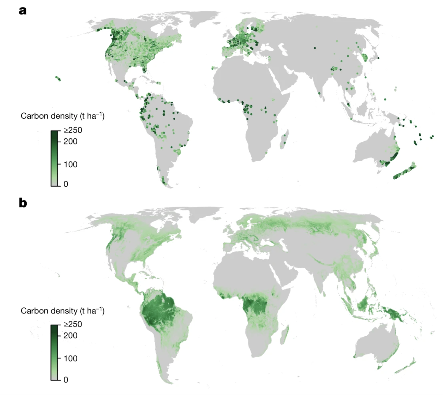 Forests hold massive carbon storage potential — if we cut emissions ...