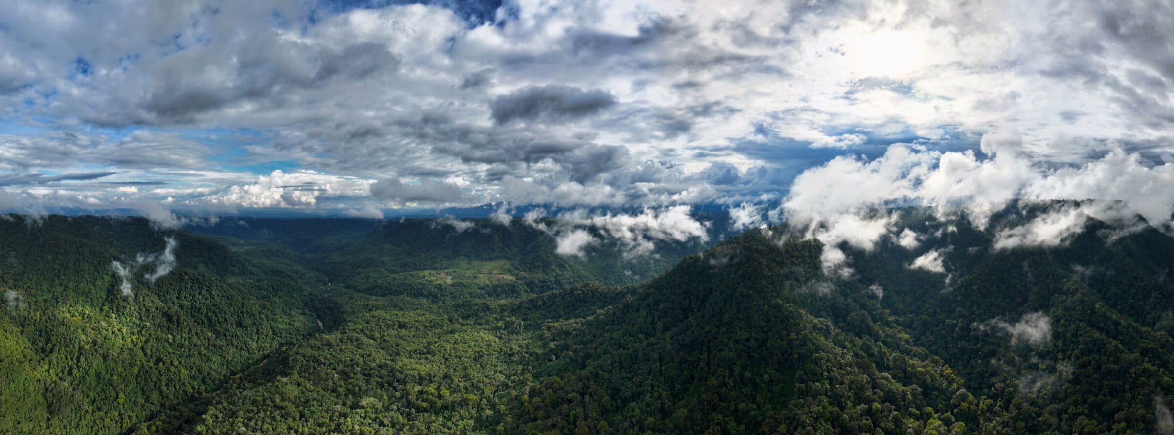 Reserva Narupa in Ecuador. Photo credit: Rhett A. Butler
