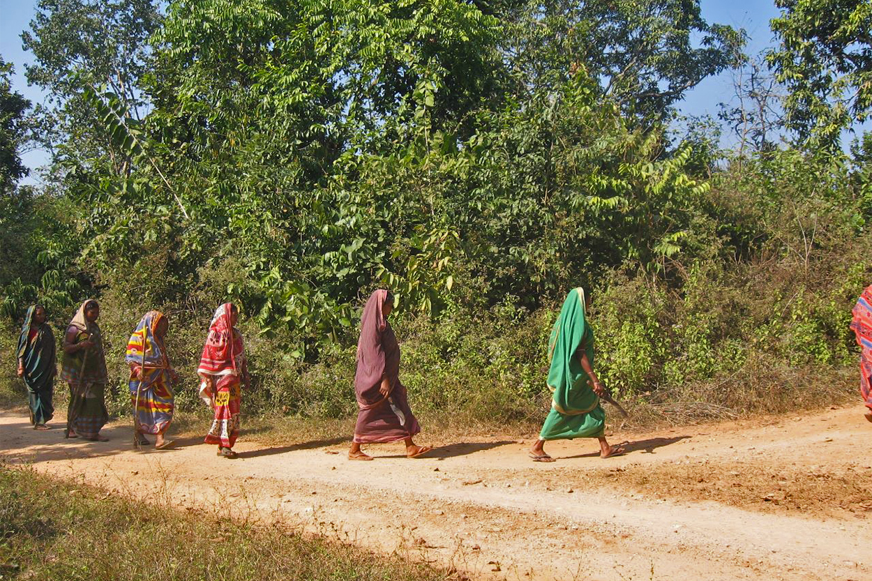 Women from Kodalpalli village in Odisha's Nayagarh district take part in thengapalli a form of community patrolling of forests. 