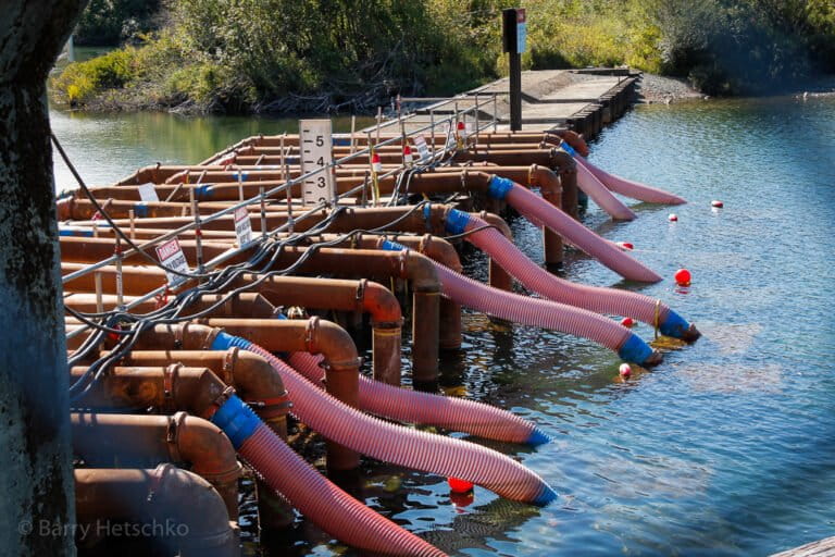 Industrial pumps push water from Lake Cowichan into the Cowichan River in September so returning salmon could make it upriver to spawn.