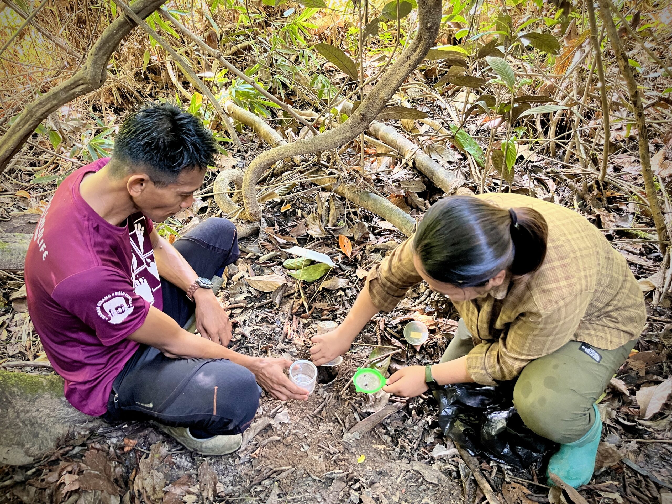 Biologists in Borneo