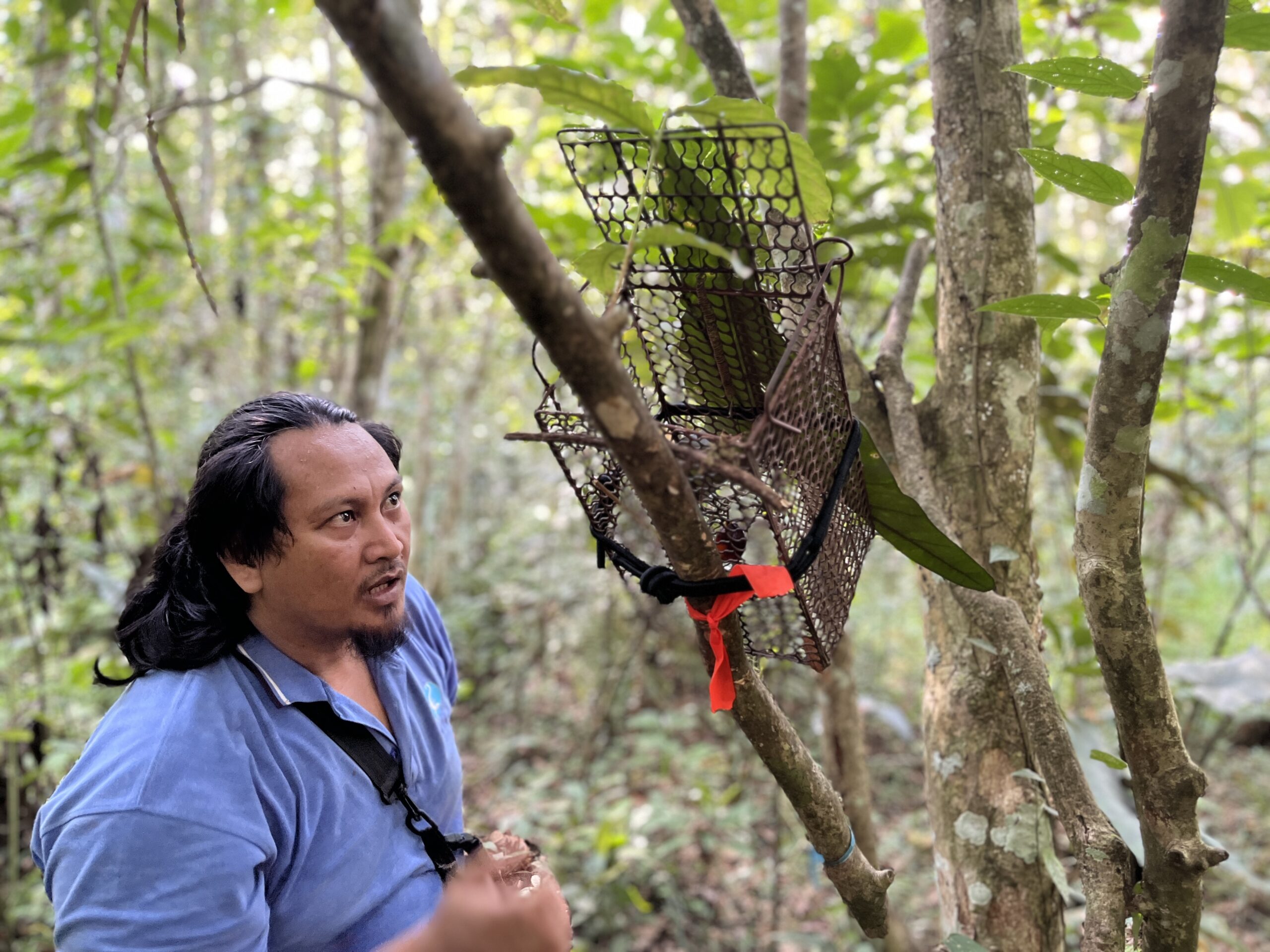 Small mammal trapping