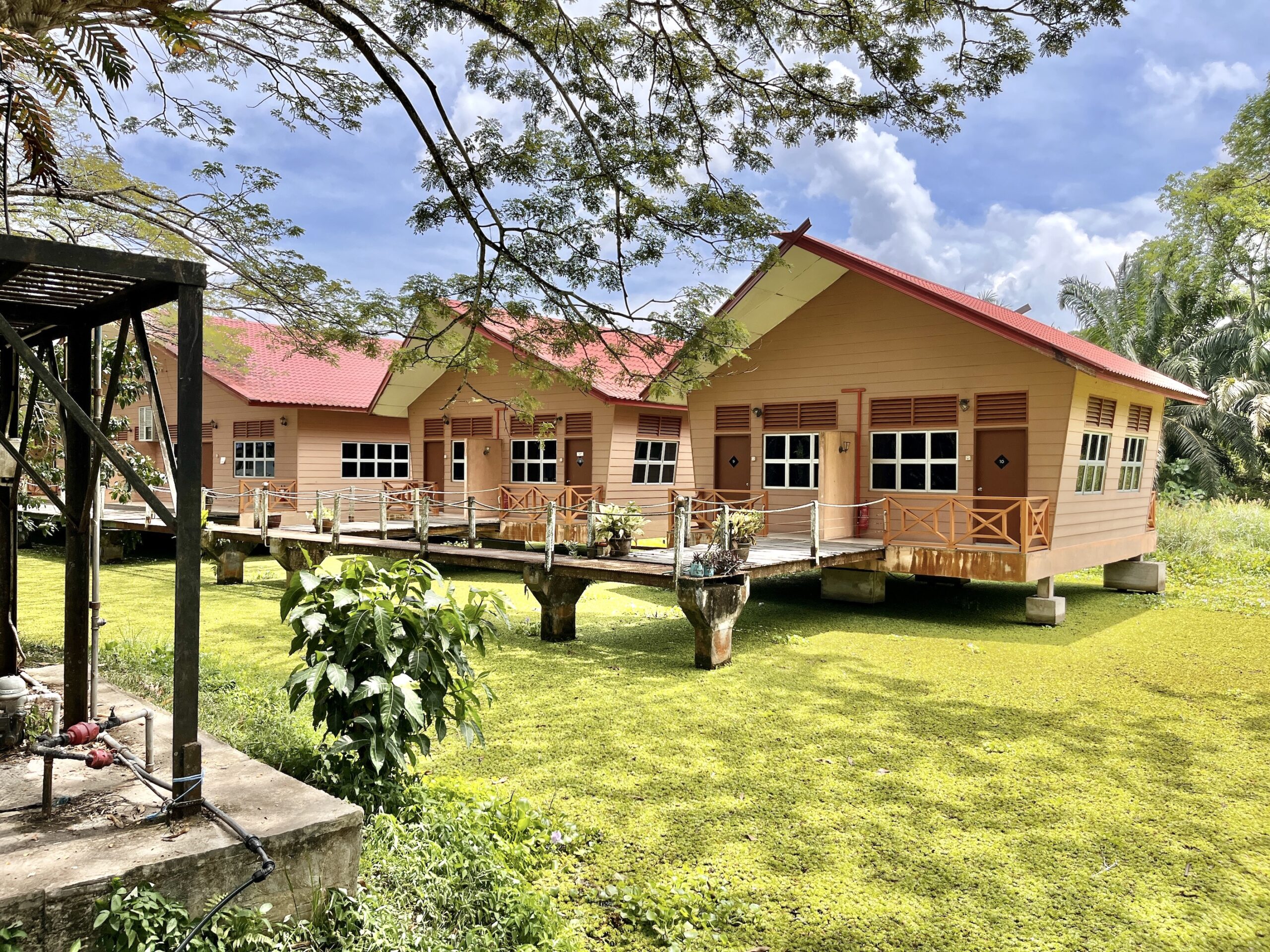 Ecotourism homestays