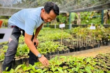 Community tree nursery