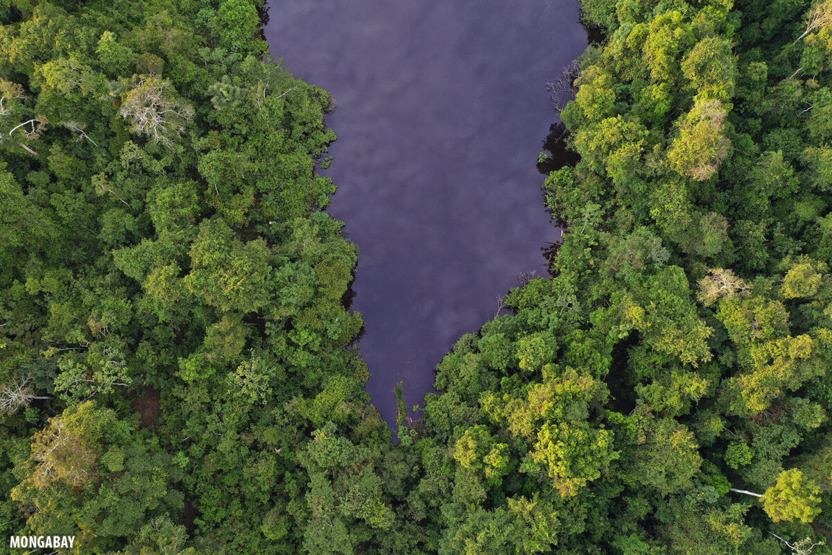 Blackwater oxbow lake in the Peruvian Amazon.