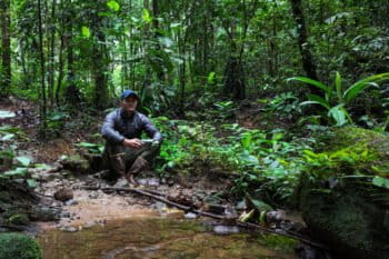 Mongabay's founder and CEO Rhett Ayers Butler flying a drone in the Amazon rainforest in July 2023.