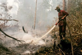 A firefighter puts out fires in a peatland in Indonesia.