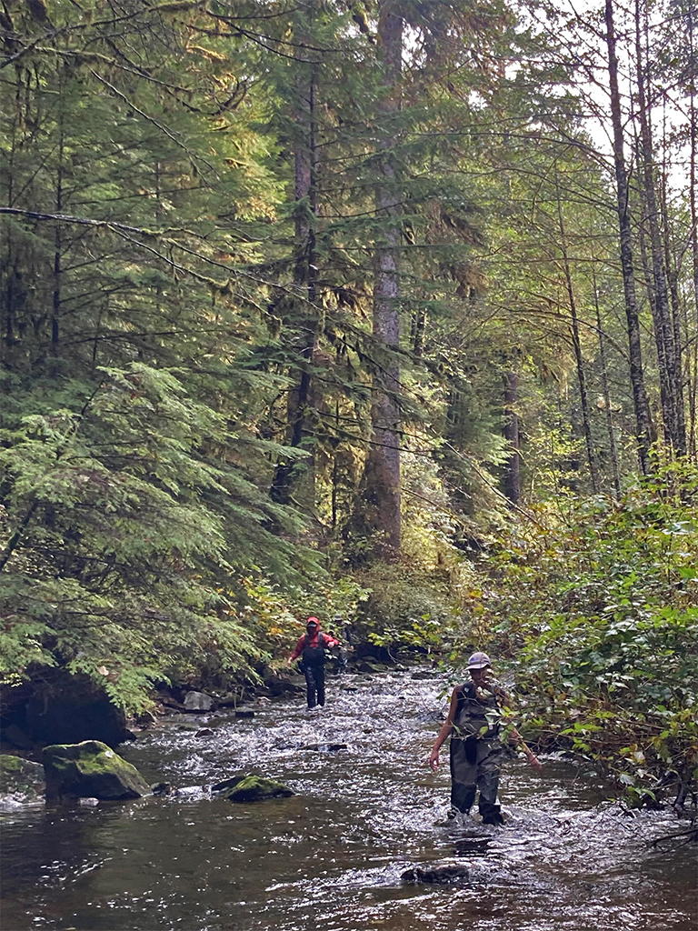 Researchers from Simon Fraser University counting salmon in Heiltsuk territory on the central coast of British Columbia.