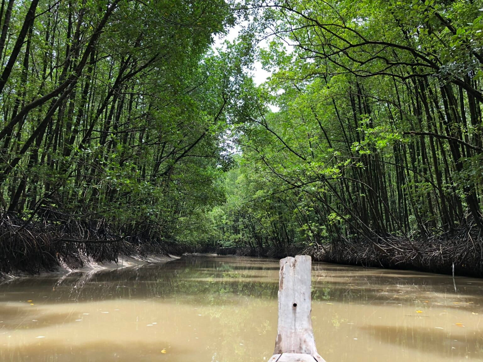 Camera-traps help identify conservation needs of Thailand’s coastal