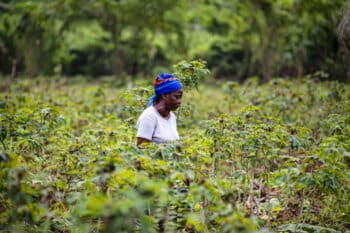 A teacher and farmer in Lukolela, DRC.