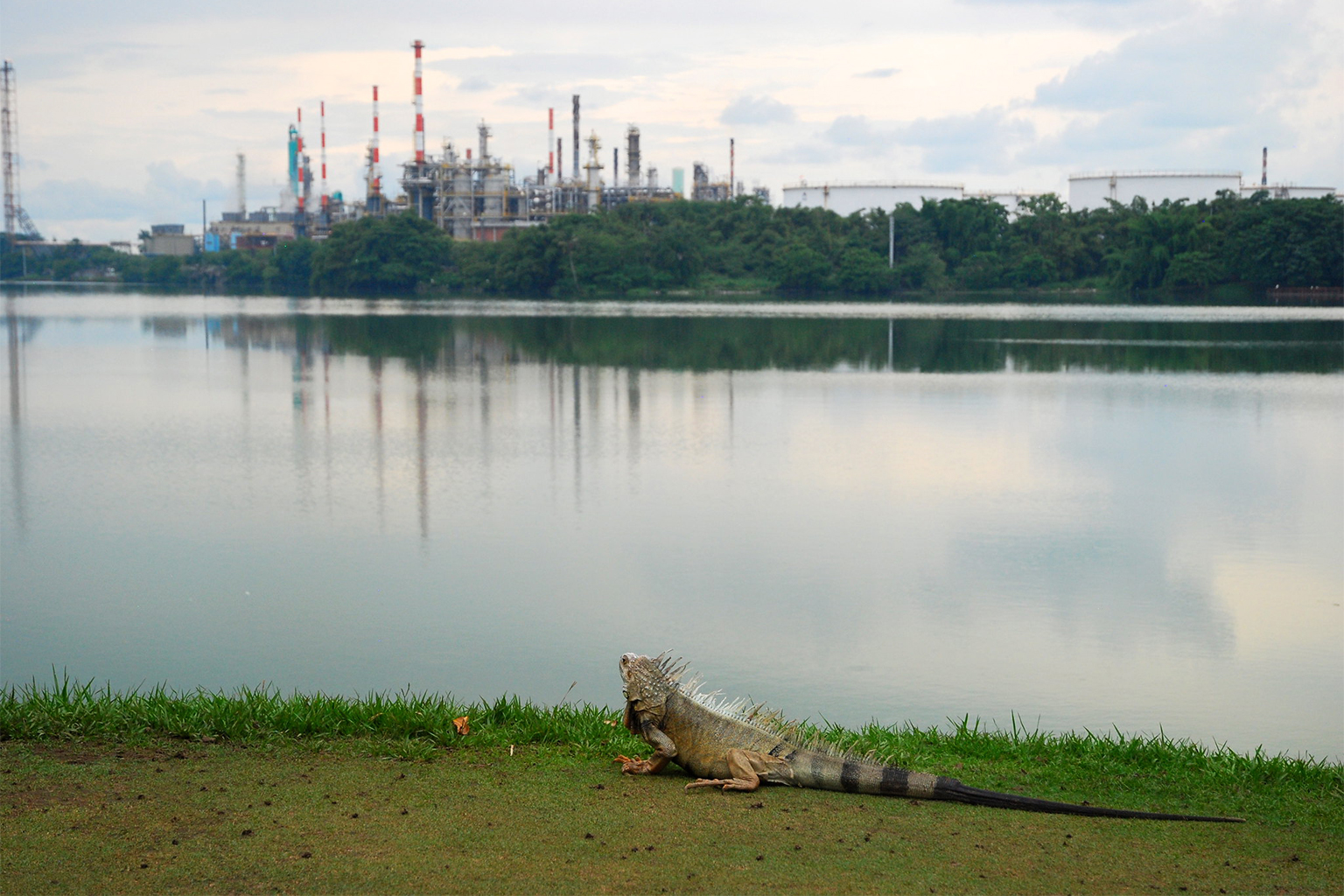 An oil refinery in Barrancabermeja.