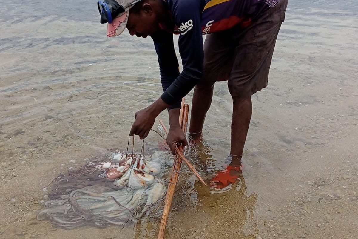 Kenyan villagers show how to harvest more octopus by fishing less
