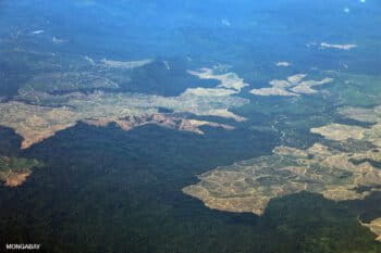 Industrial oil palm development outside Balikpapan