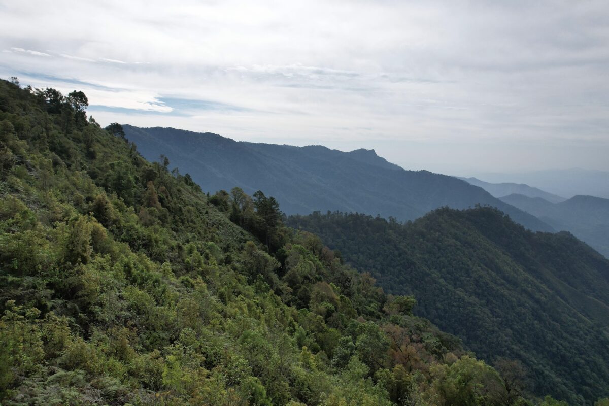 The new 348,140-hectare (860,272-acre) Sierra Tecuani Biosphere Reserve in the Mexican state of Guerrero. Image by Joaquín Núñez Medrano.