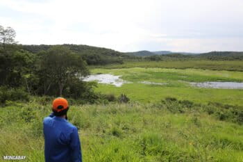 Wetlands in the San Miguelito area, Bolivia.