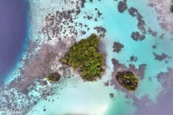 Small islands in Raja Ampat, West Papua, Indonesia. Photo credit: Rhett Ayers Butler. 