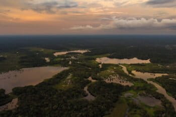 A Perfect Storm in the Amazon,