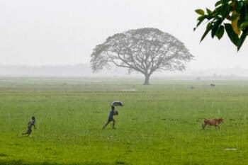 A Bangladesh farm during a thunderstorm.
