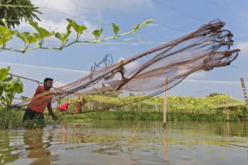 Fakir Altaf Hussain, a fisher in Bangladesh, fishing in his pond.