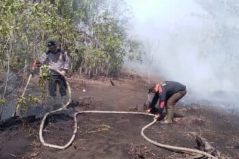 The effect is most dangerous in peatland areas like Riau province and southern Borneo, where out-of-control wildfires cause environmental destruction, excess deaths and economic losses in the billions of dollars.