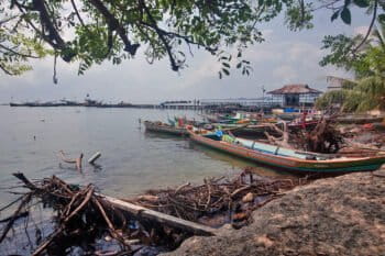 Many residents of Gelam Island moved to the neighboring Cempedak Island for education and health facilities.