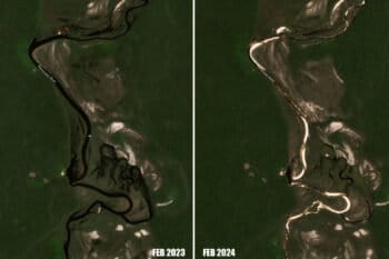 Planet satellite image of the Macucuaú River, Roraima in February 2023 (left) and February 2024 (right). Courtesy of Planet.