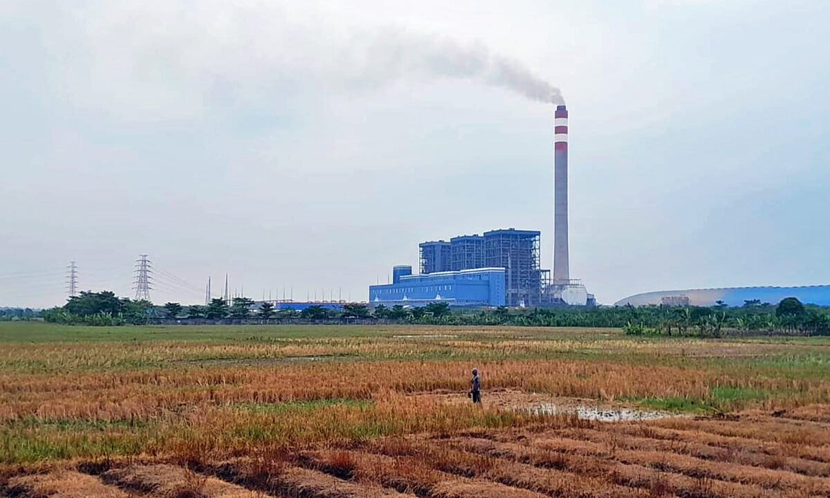 The PLTU 1 Indramayu, which previously used entirely coal, has now mixed it with biomass.