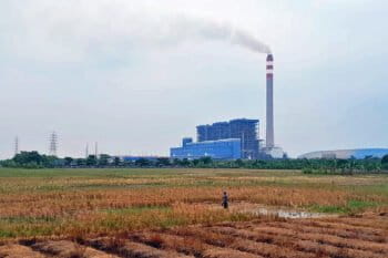 The PLTU 1 Indramayu, which previously used entirely coal, has now mixed it with biomass.