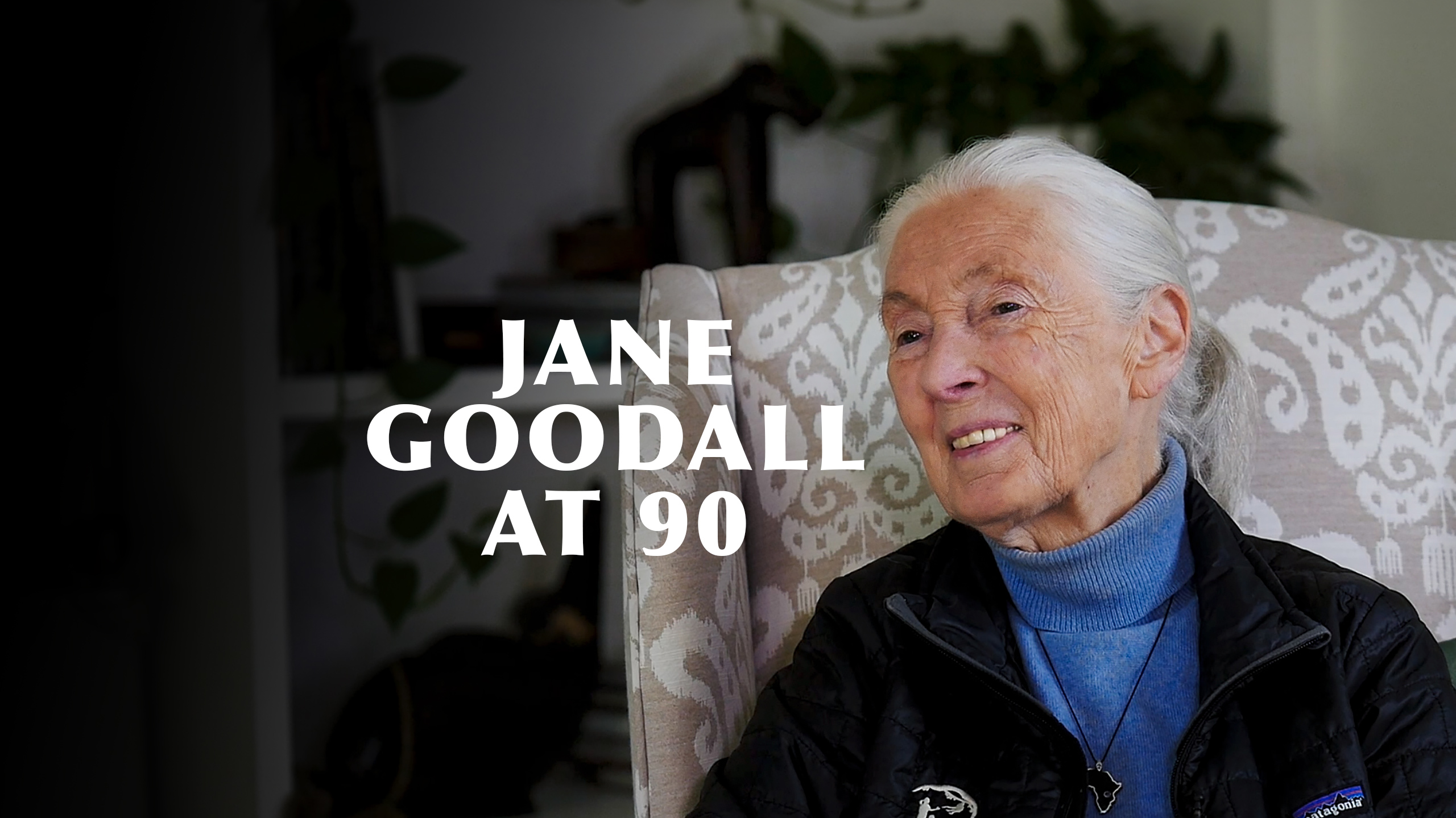 Jane Goodall at 90: On fame, hope, and empathy
