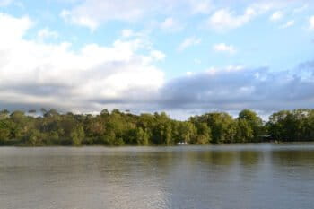 wetland