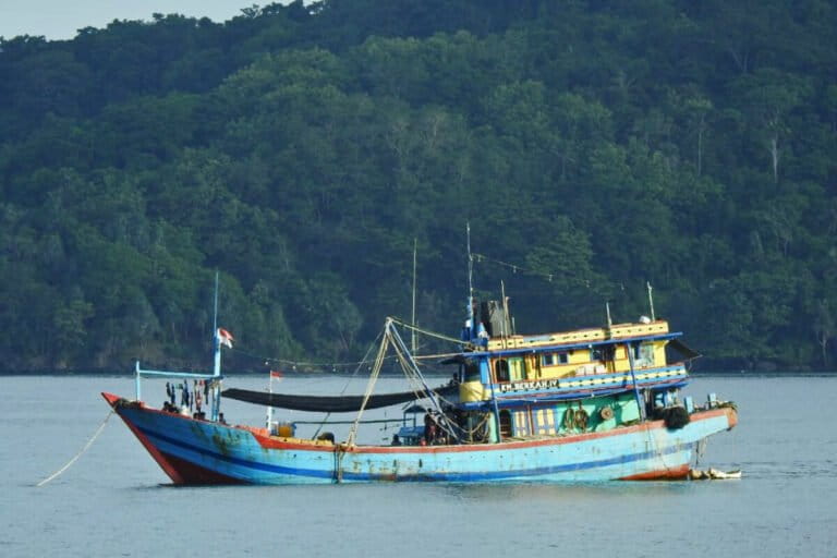 In Java Sea, vigilantism and poverty rise as purse seine fishing continues