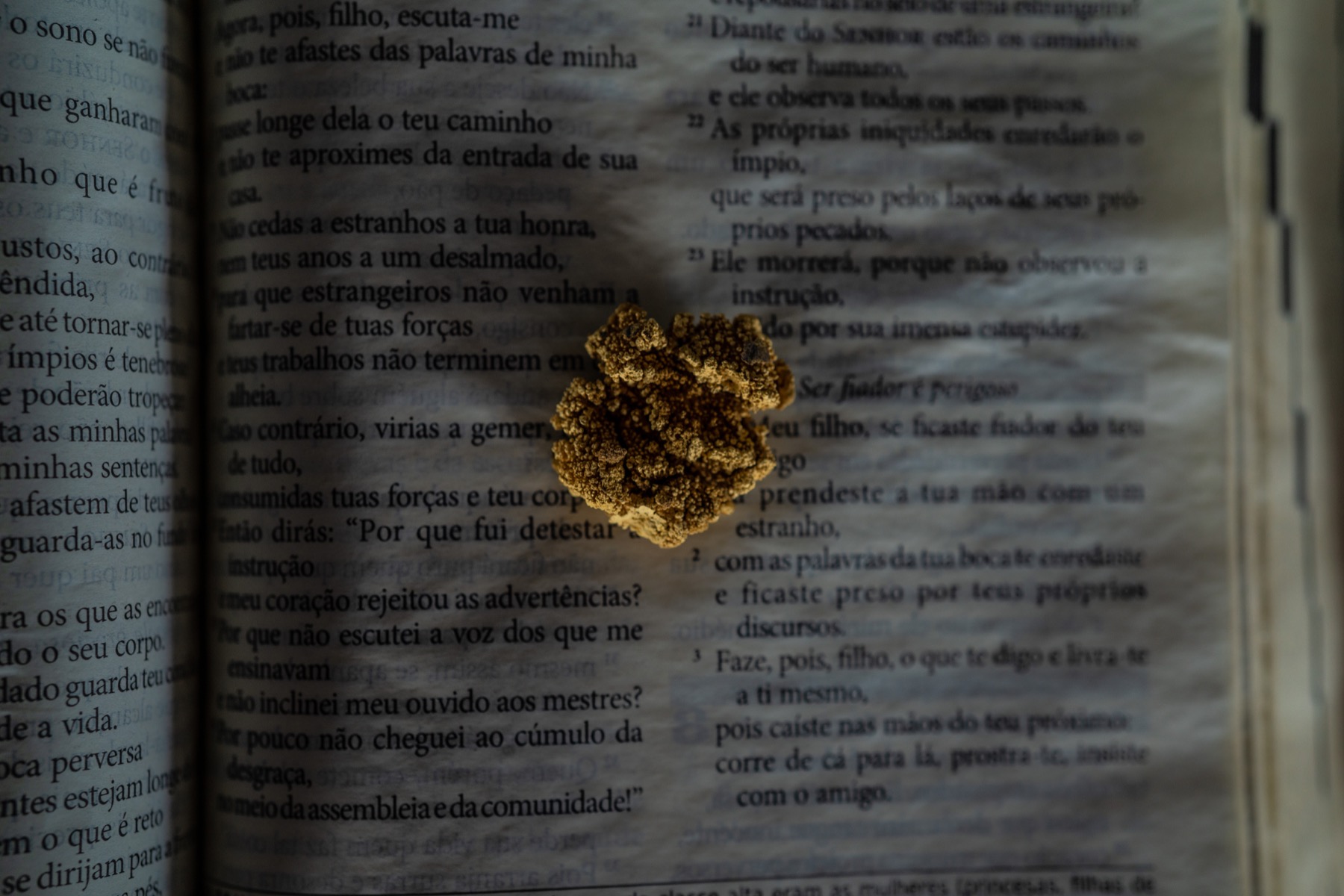 2025 Argentina's National Day of Memory for Truth and Justice | The  Auschwitz Institute, image size:1800x1200