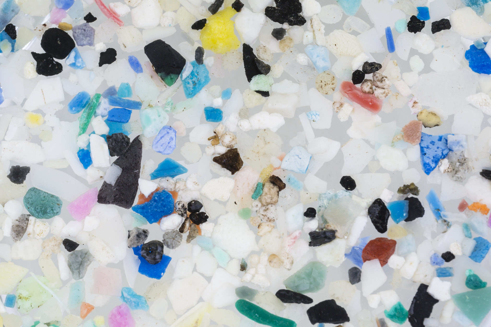 Microplastics photographed in the studio