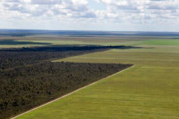Aerial view of unpaved roads dividing a soy monoculture from the native Cerrado, in the region of Ribeiro Gonçalves, Piauí, Brazil. Image courtesy of Adriano Gambarini/WWF-Brazil.