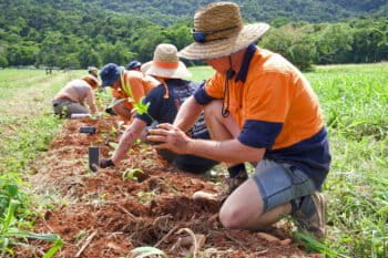 The reforestation team planting trees.