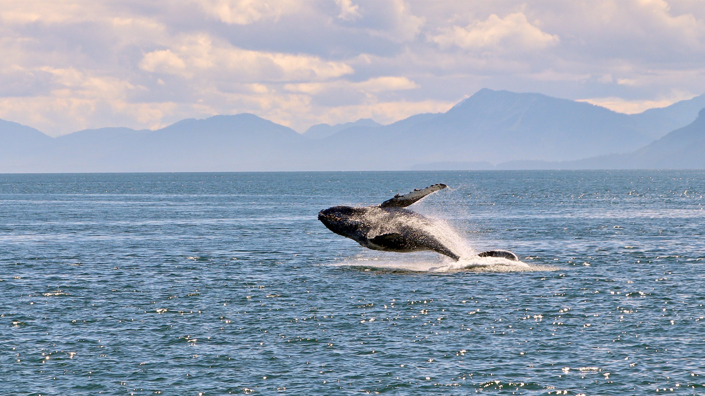 Indigenous concerns surface as U.S. agency considers seabed mining in Alaskan waters