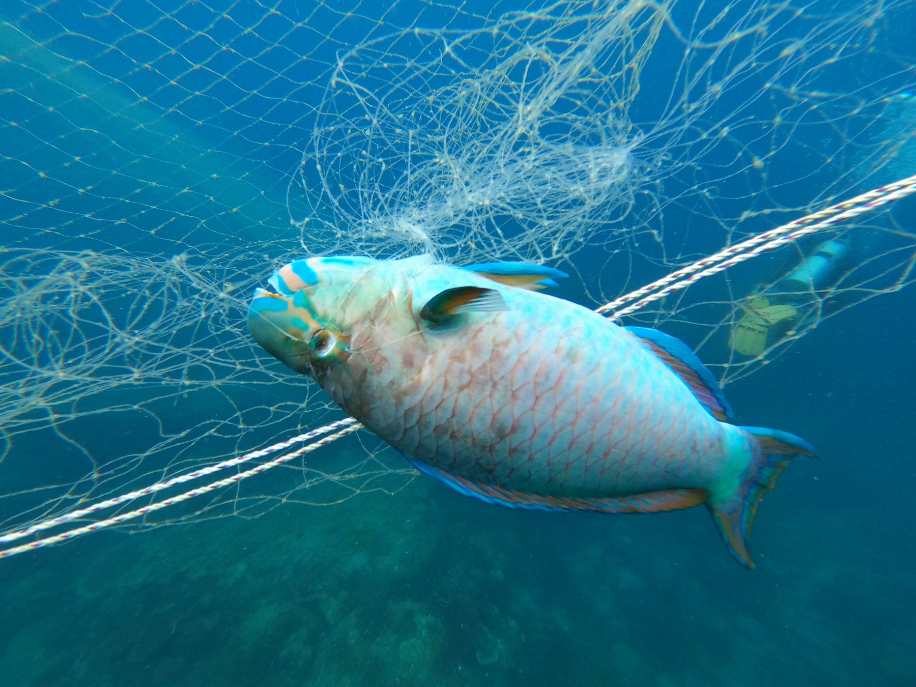 15 foot fishing pole This is WHY YOU NEED a RIDICOUSLY LONG SURF FISHING ROD!