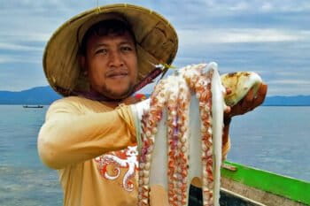 Torosiaje fisherman's octopus harvest.