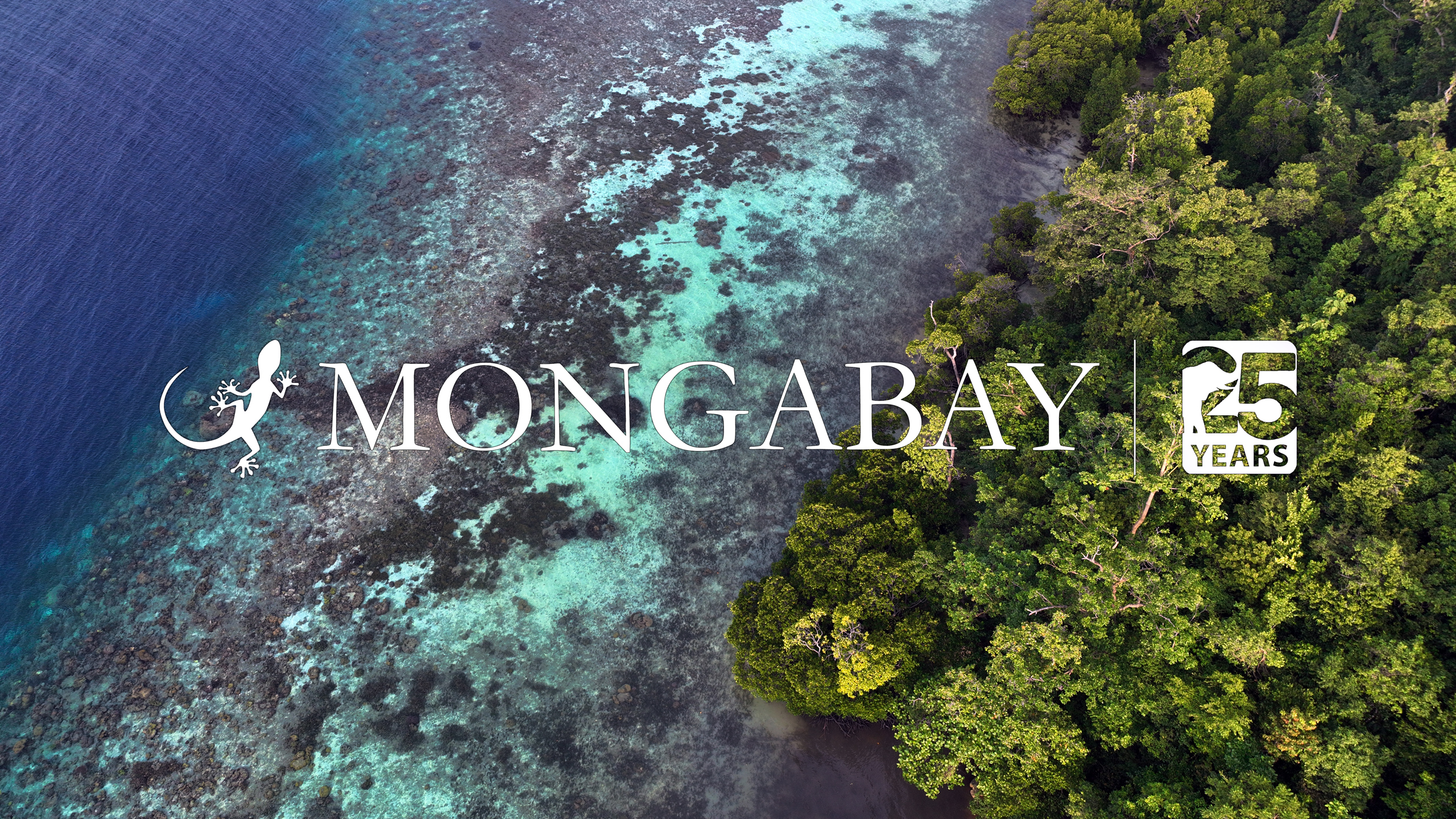 Top court delivers a ‘huge’ climate win for island nations – Mongabay