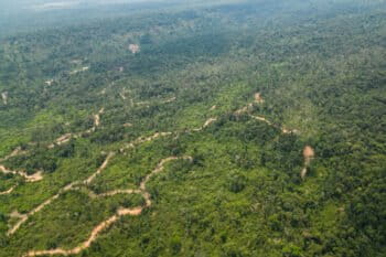 Illegal logging routes sprawl out of the Stung Meteuk dam construction site, leading into Phnom Samkos Wildlife Sanctuary. Image by Gerald Flynn / Mongabay.