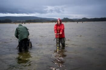 A mariscadora uses a clam rake to dredge for shellfish off Cambados in Galicia. Image by Naomi Mihara for Mongabay