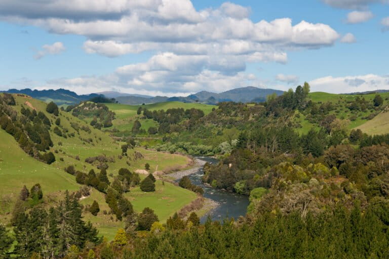 Whānganui River
