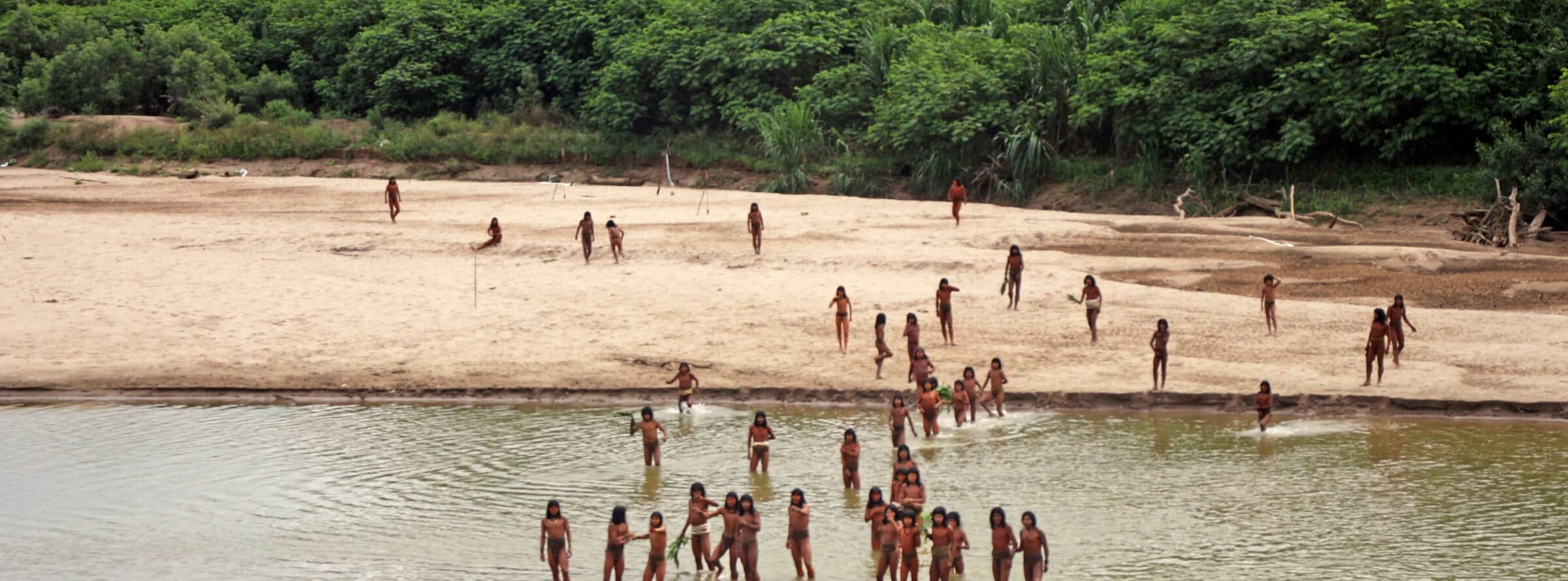 Dozens of isolated Indigenous Mashco Piro men and boys on a beach in the Peruvian Amazon. Image courtesy of Survival International.