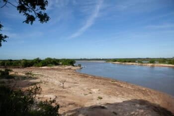 With the advance of agriculture in Maranhão, rain cycles have been disrupted and rivers and streams have begun drying. Some of the state’s only remaining rainforest lies within a group of Indigenous lands here, home to the Guarani people. Ana Ionova for Mongabay.