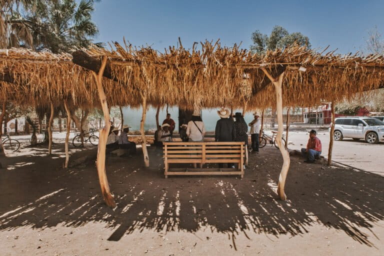 A traditional Yaqui ceremonial hut in Vícam which is made from alamo