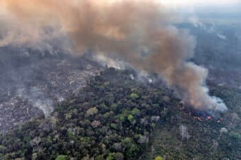 Greenpeace Brazil conducted an aerial survey in southern Amazonas and northern Rondônia to monitor deforestation and fires in July 2024. Photo © Marizilda Cruppe / Greenpeace.